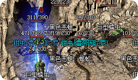 新开传奇私服 新开传奇私服